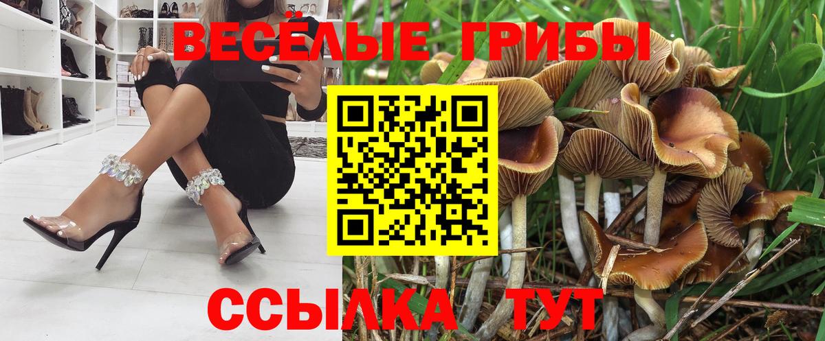 Псилоцибиновые грибы Psilocybe  купить закладку  Вход с VPN  Новошахтинск  Галлюциногенные грибы Magic Shrooms 
